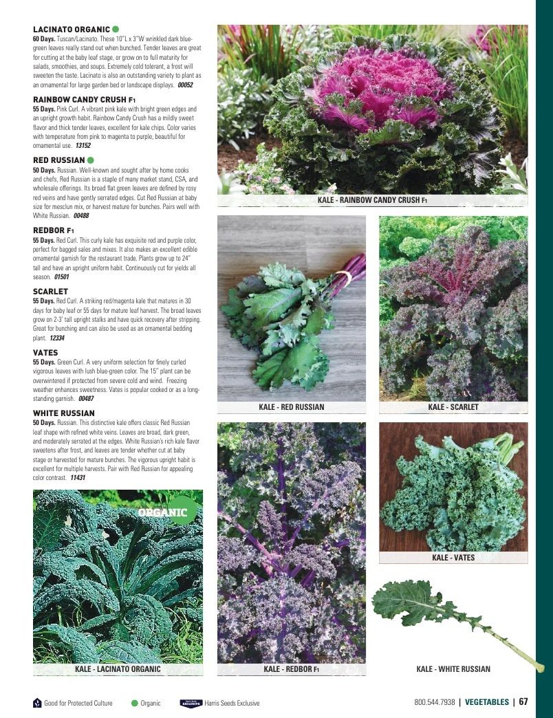 Harris Seeds Vegetable and Cut Flower Catalog Weekly Ad January 1 - December 31, 2026