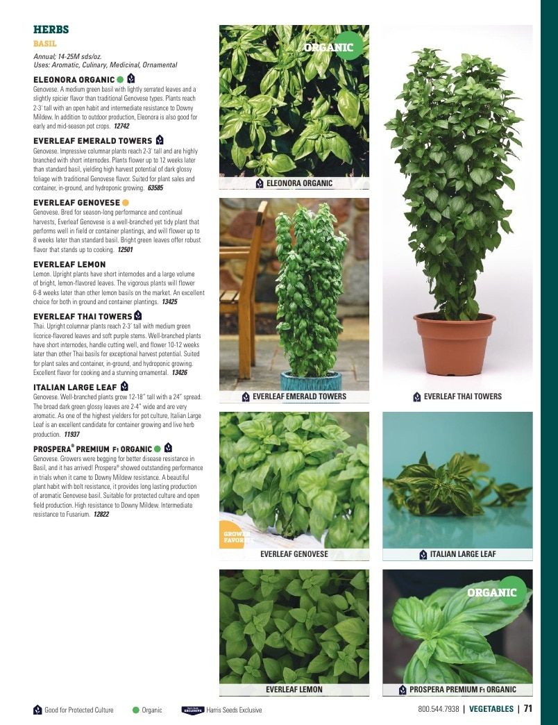 Harris Seeds Vegetable and Cut Flower Catalog Weekly Ad January 1 - December 31, 2026