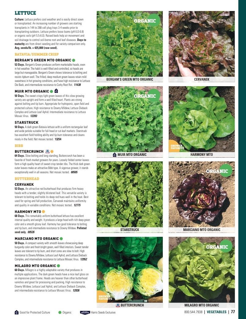 Harris Seeds Vegetable and Cut Flower Catalog Weekly Ad January 1 - December 31, 2026