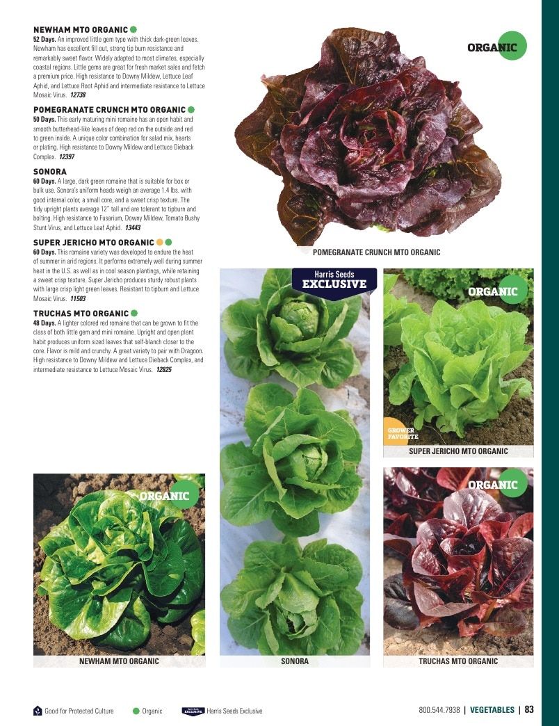 Harris Seeds Vegetable and Cut Flower Catalog Weekly Ad January 1 - December 31, 2026