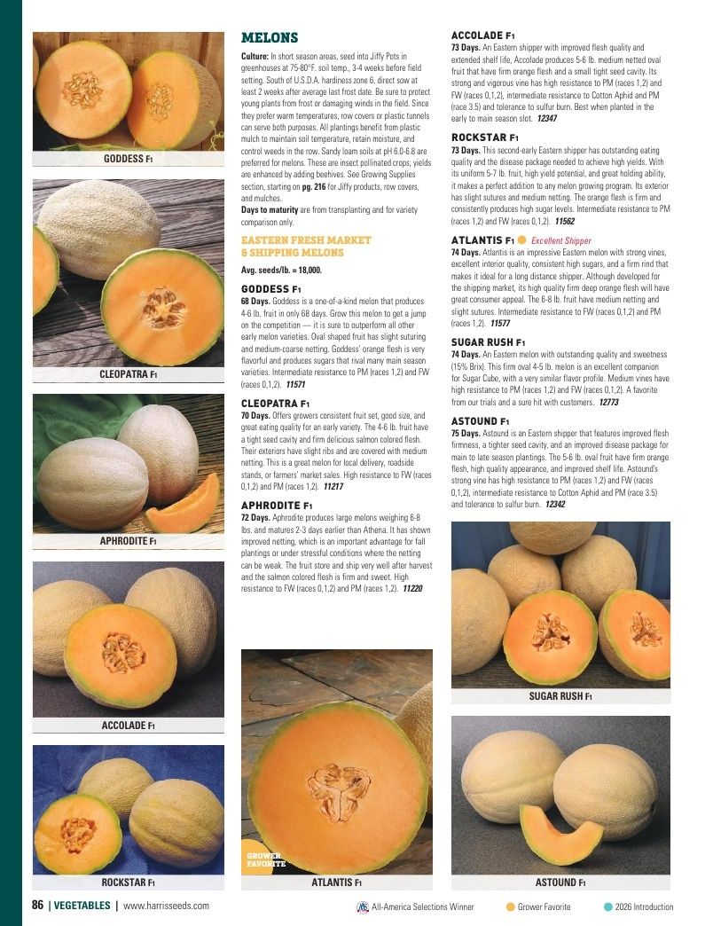 Harris Seeds Vegetable and Cut Flower Catalog Weekly Ad January 1 - December 31, 2026