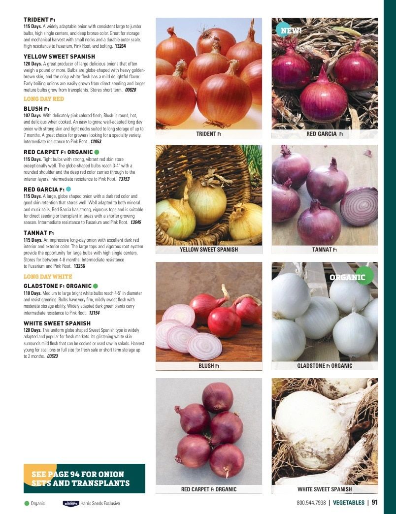 Harris Seeds Vegetable and Cut Flower Catalog Weekly Ad January 1 - December 31, 2026