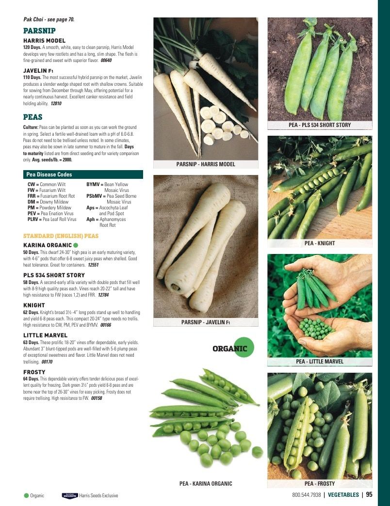 Harris Seeds Vegetable and Cut Flower Catalog Weekly Ad January 1 - December 31, 2026