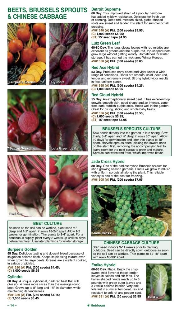 Vermont Bean Annual Catalog Weekly Ad January 1 - December 31, 2026