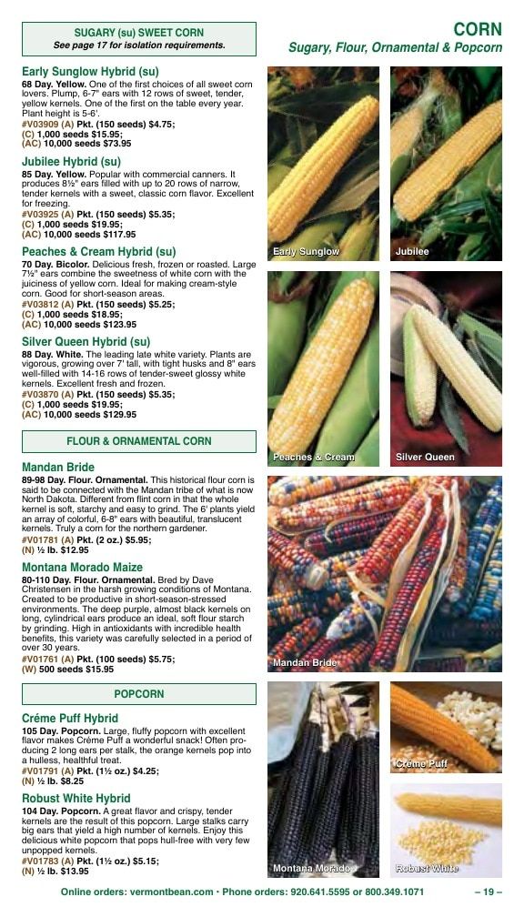 Vermont Bean Annual Catalog Weekly Ad January 1 - December 31, 2026