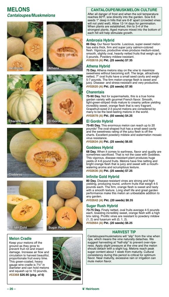 Vermont Bean Annual Catalog Weekly Ad January 1 - December 31, 2026