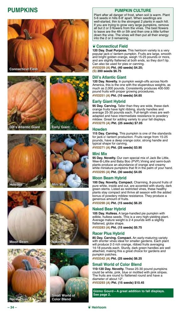 Vermont Bean Annual Catalog Weekly Ad January 1 - December 31, 2026