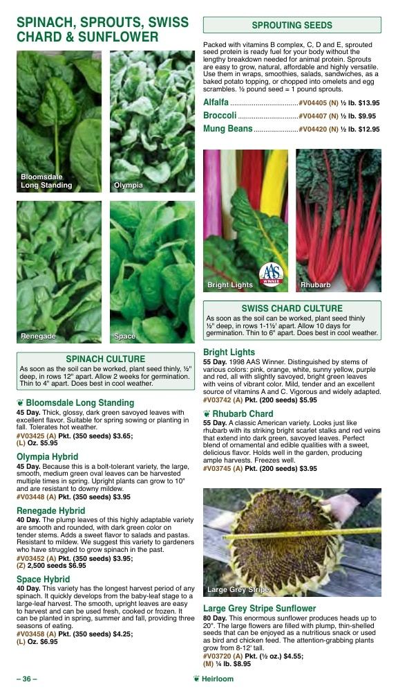 Vermont Bean Annual Catalog Weekly Ad January 1 - December 31, 2026