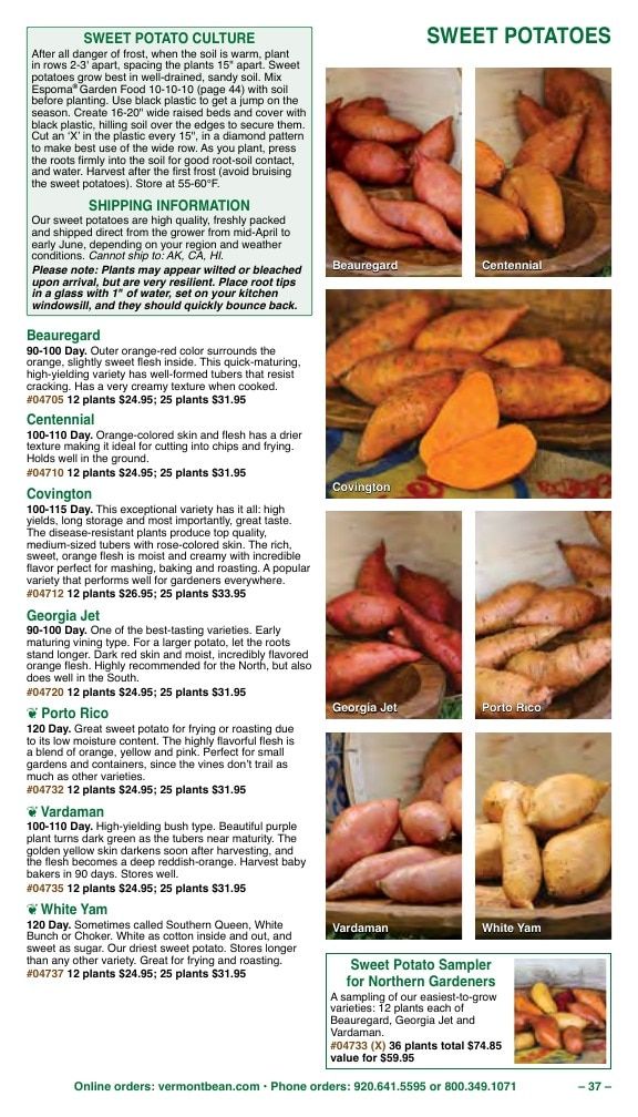 Vermont Bean Annual Catalog Weekly Ad January 1 - December 31, 2026