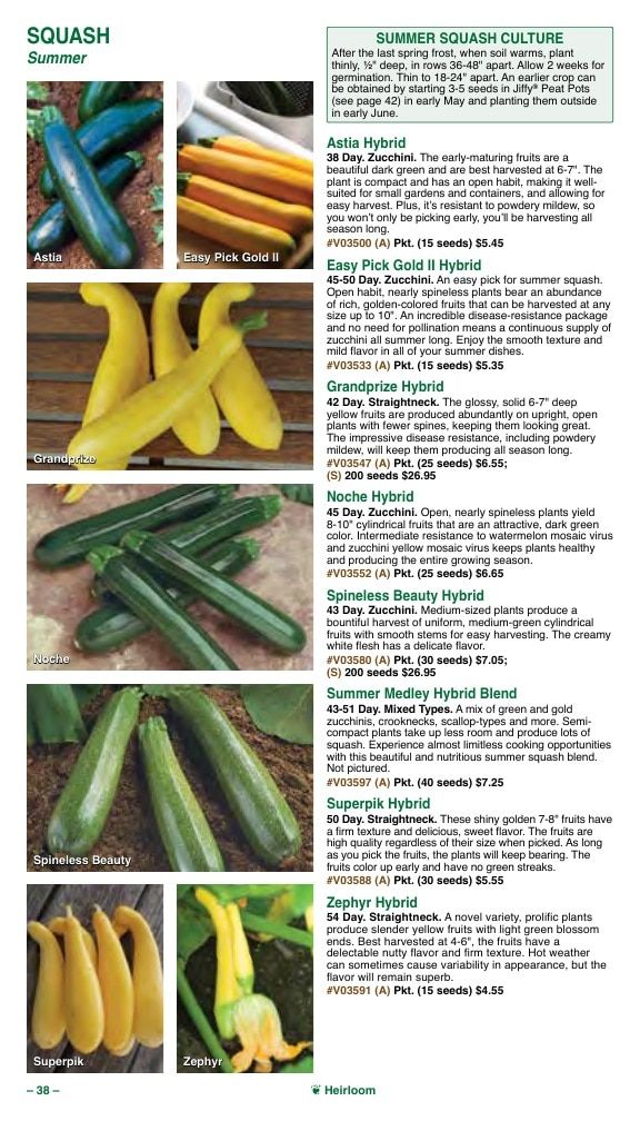 Vermont Bean Annual Catalog Weekly Ad January 1 - December 31, 2026