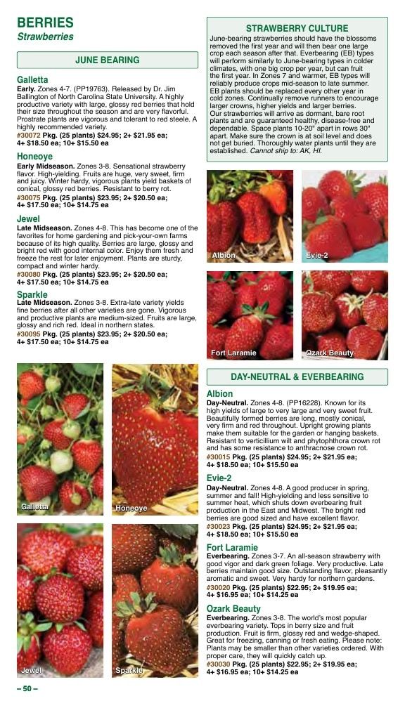 Vermont Bean Annual Catalog Weekly Ad January 1 - December 31, 2026