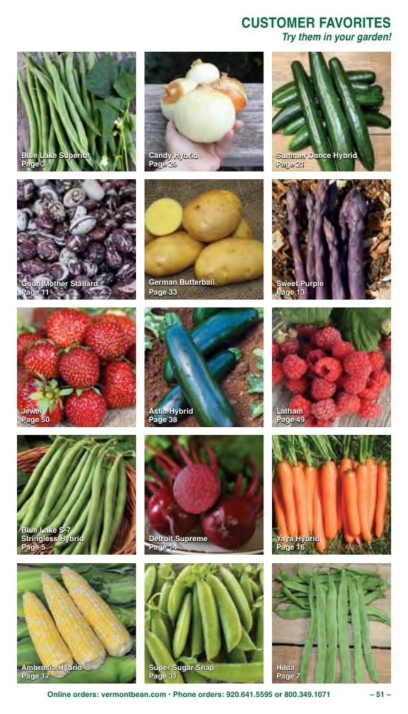 Vermont Bean Annual Catalog Weekly Ad January 1 - December 31, 2026