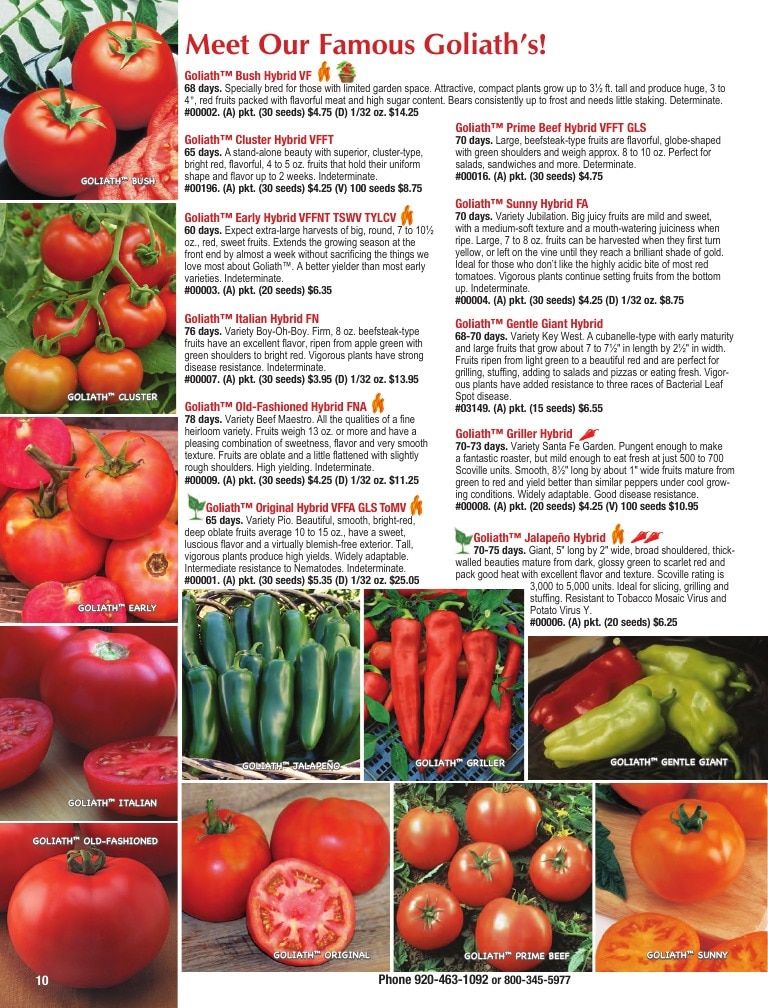 Totally Tomatoes Annual Catalog Weekly Ad January 1 - December 31, 2026