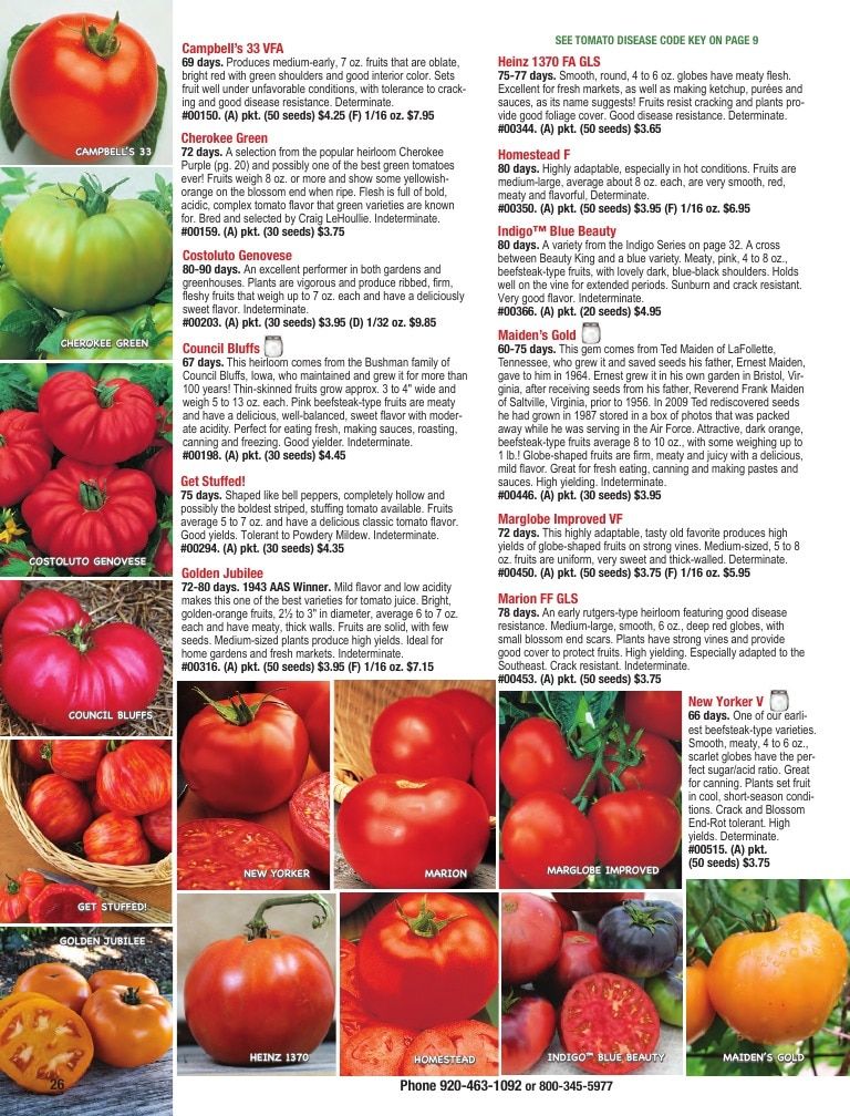 Totally Tomatoes Annual Catalog Weekly Ad January 1 - December 31, 2026