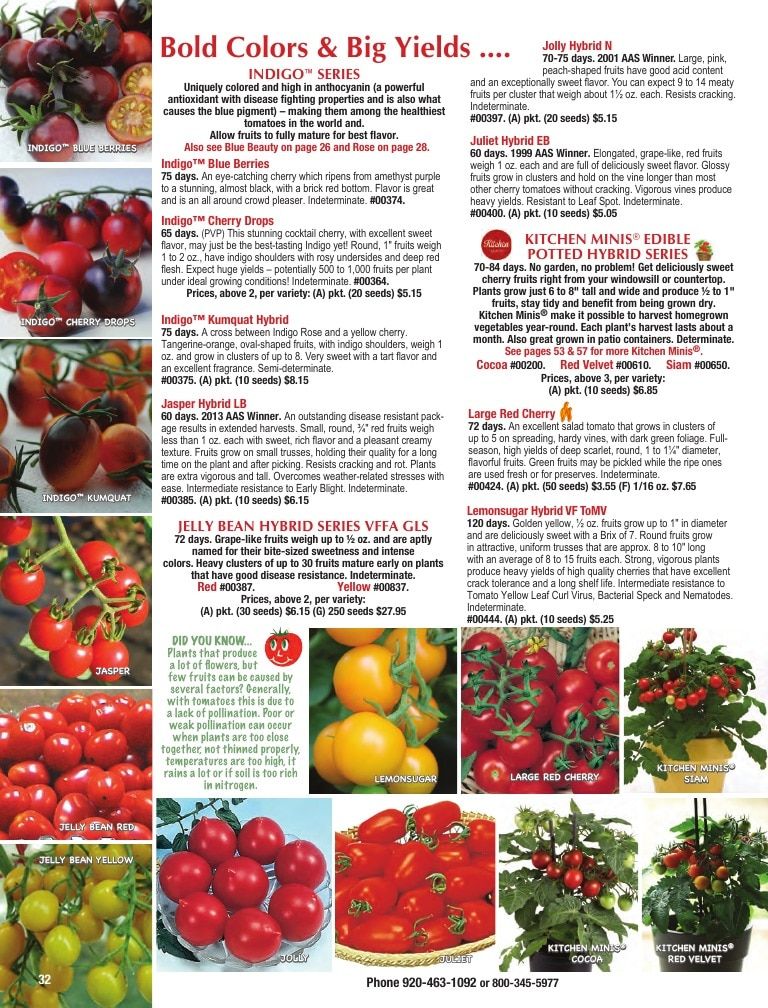 Totally Tomatoes Annual Catalog Weekly Ad January 1 - December 31, 2026