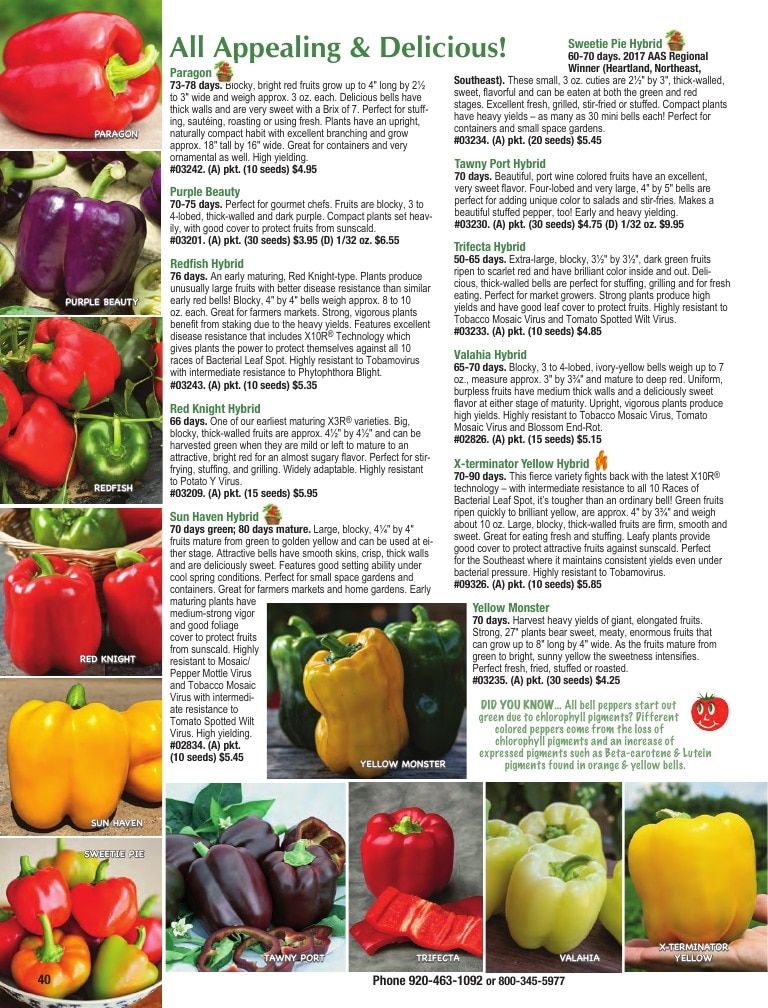 Totally Tomatoes Annual Catalog Weekly Ad January 1 - December 31, 2026