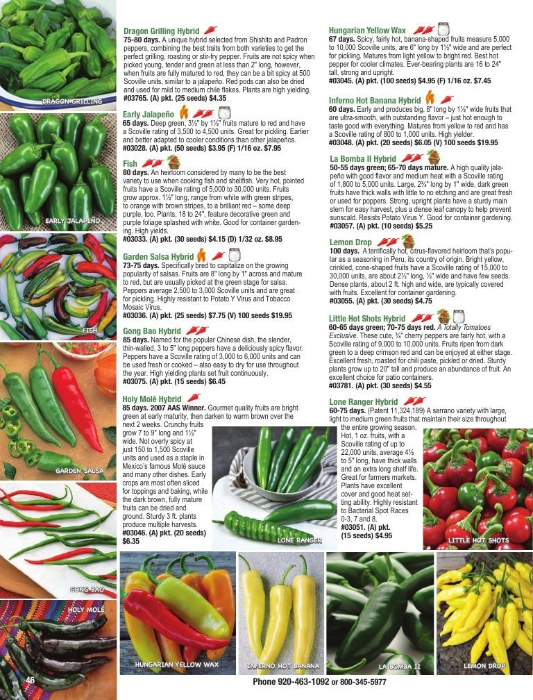Totally Tomatoes Annual Catalog Weekly Ad January 1 - December 31, 2026