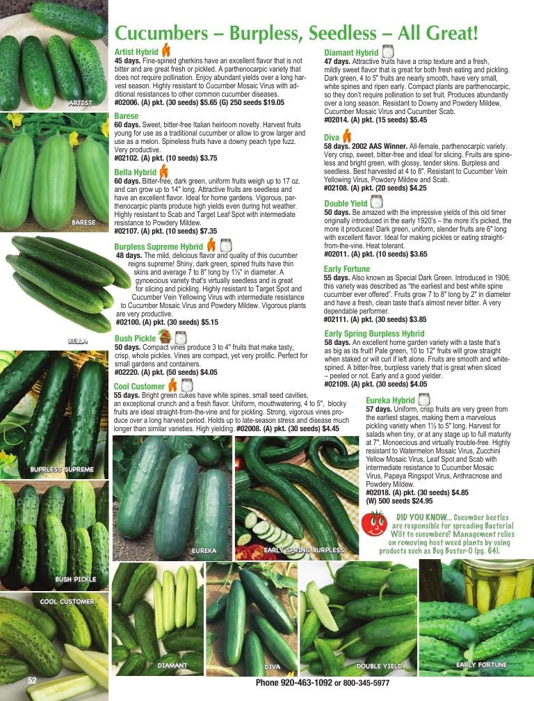 Totally Tomatoes Annual Catalog Weekly Ad January 1 - December 31, 2026