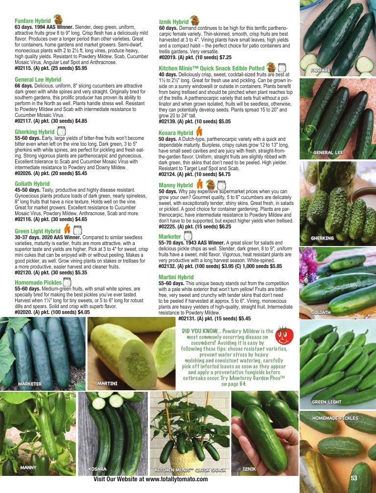 Totally Tomatoes Annual Catalog Weekly Ad January 1 - December 31, 2026