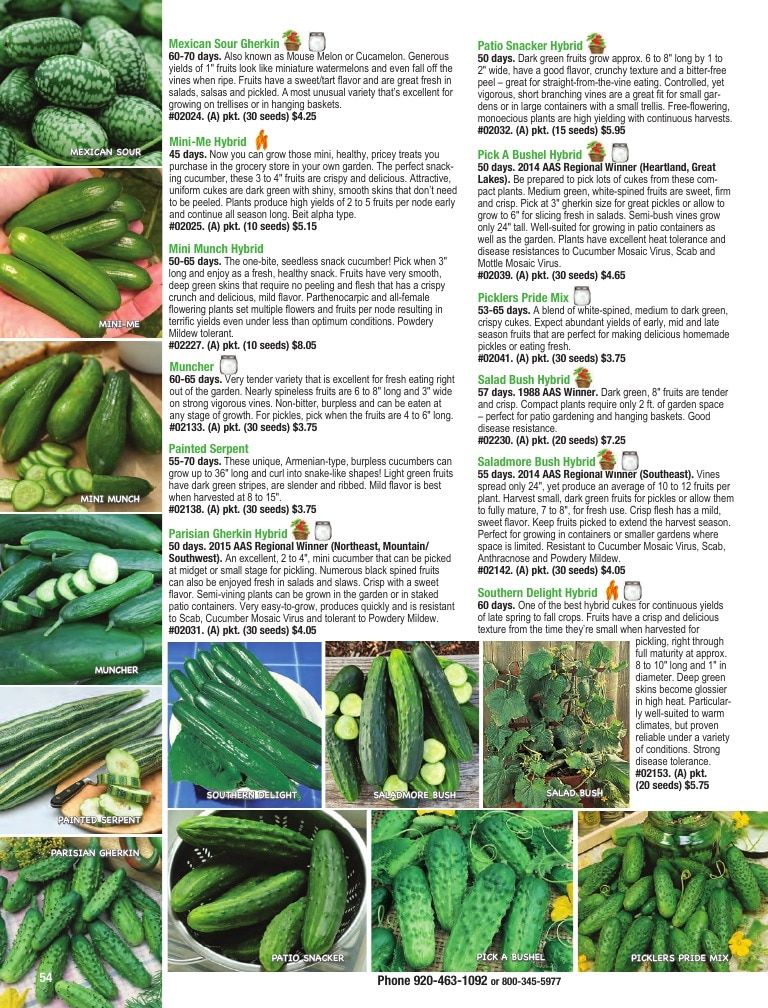 Totally Tomatoes Annual Catalog Weekly Ad January 1 - December 31, 2026