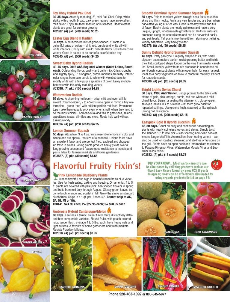 Totally Tomatoes Annual Catalog Weekly Ad January 1 - December 31, 2026