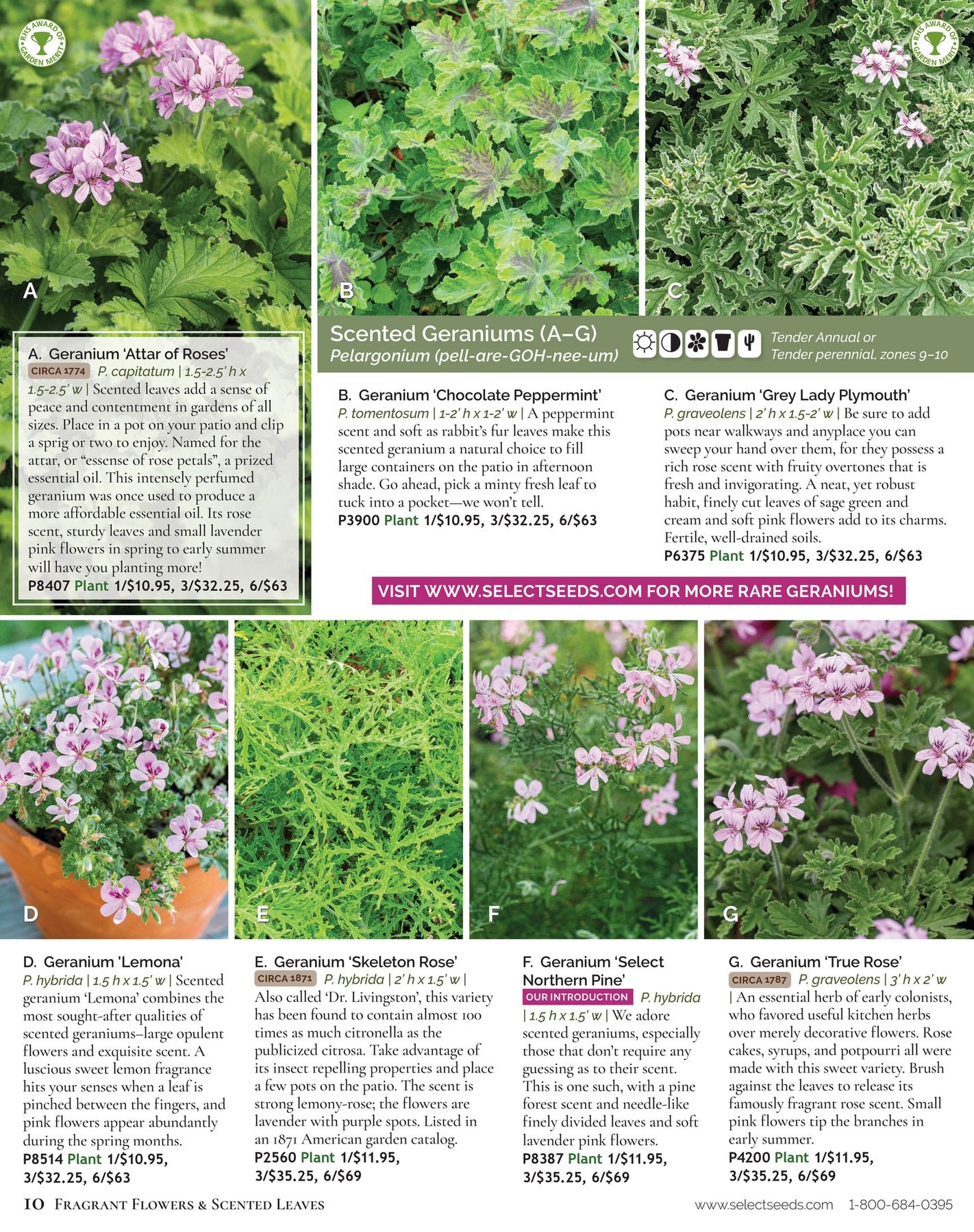 Select Seeds Annual Catalog Weekly Ad January 1 - December 31, 2026