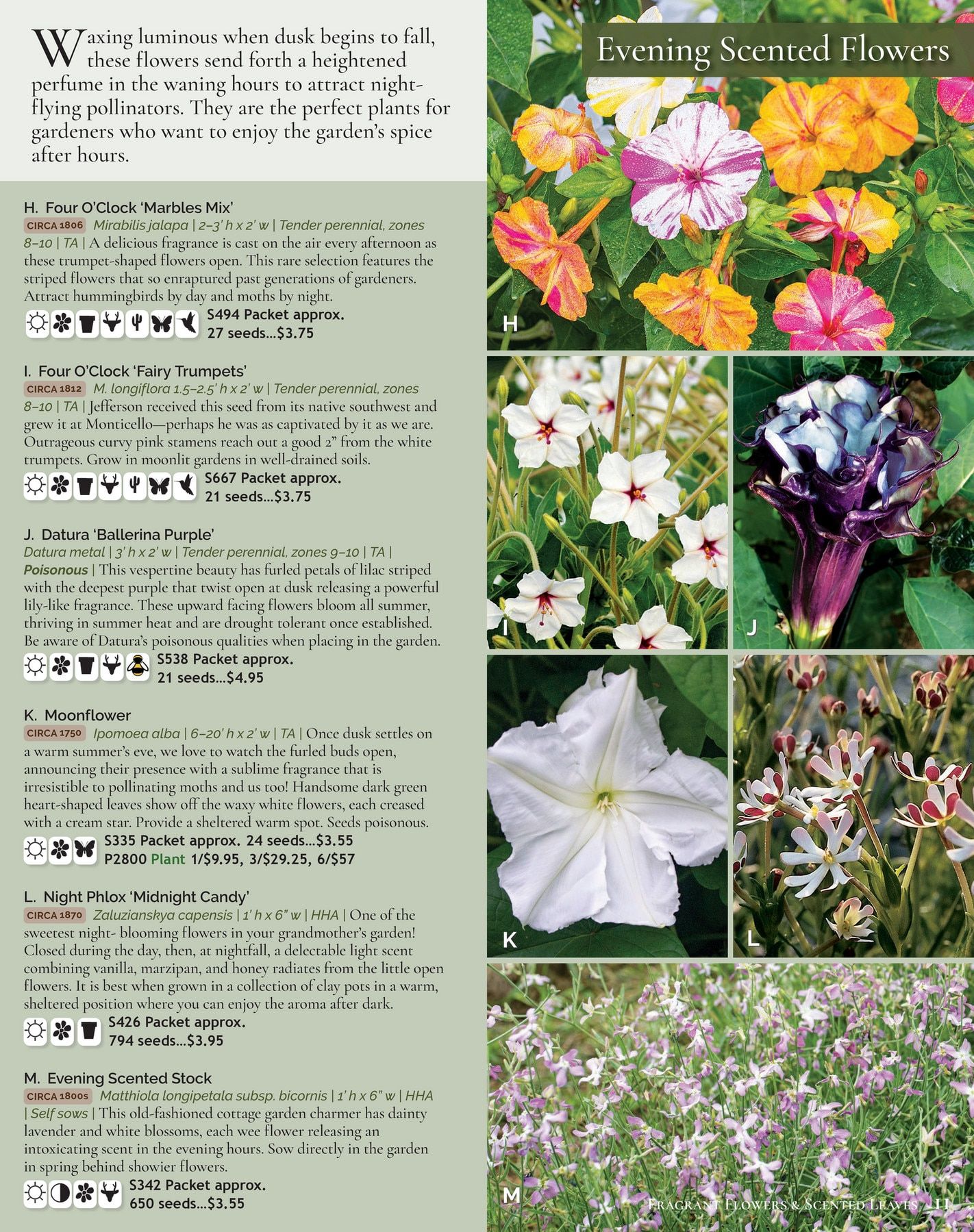 Select Seeds Annual Catalog Weekly Ad January 1 - December 31, 2026