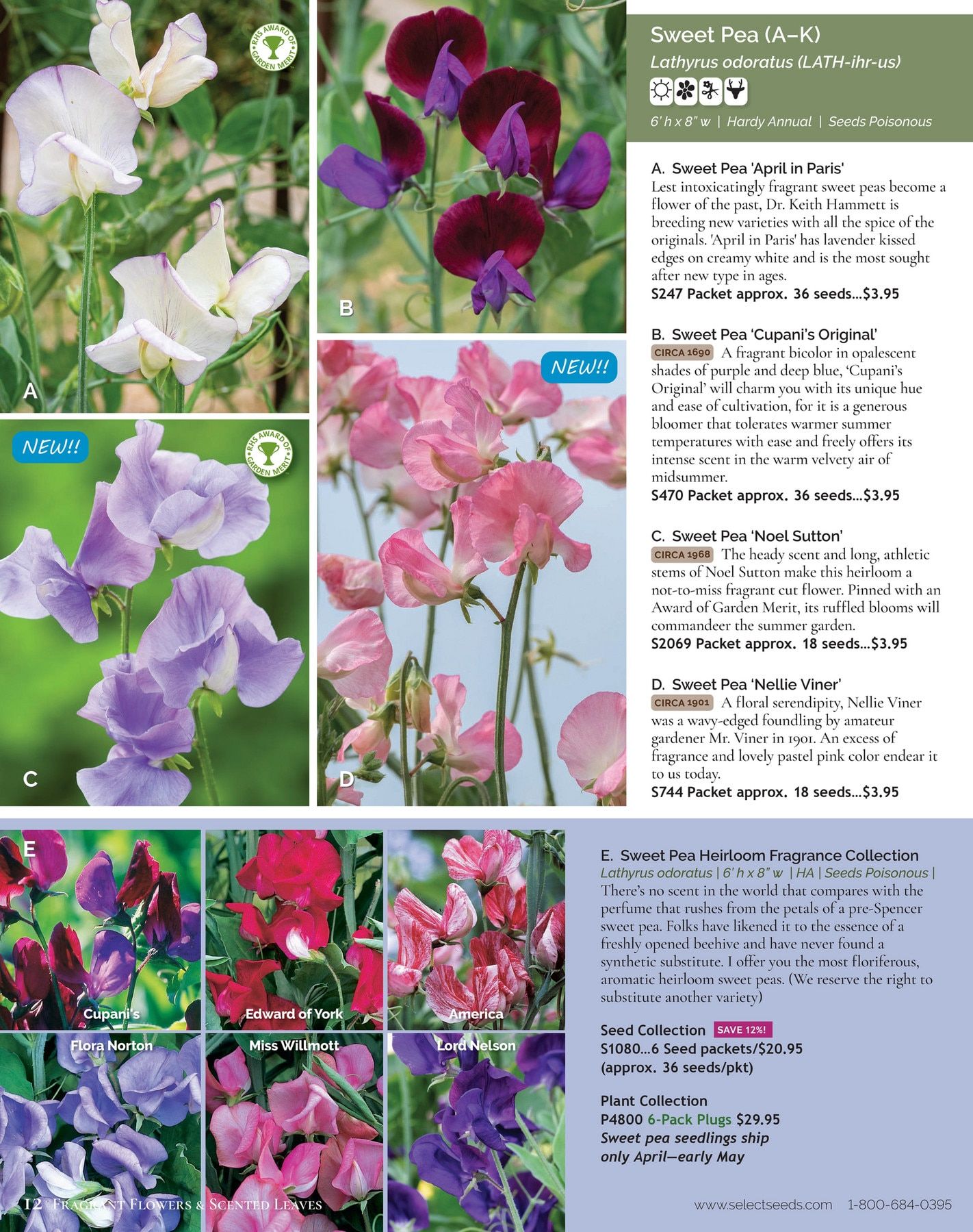 Select Seeds Annual Catalog Weekly Ad January 1 - December 31, 2026