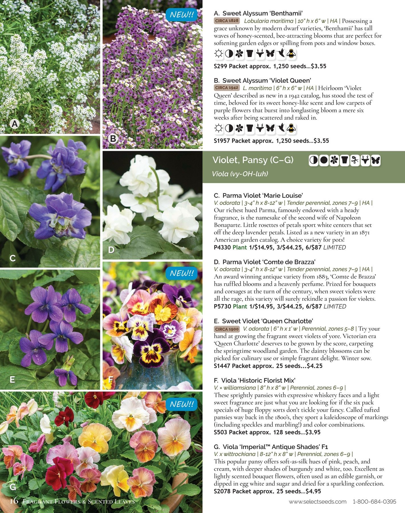 Select Seeds Annual Catalog Weekly Ad January 1 - December 31, 2026