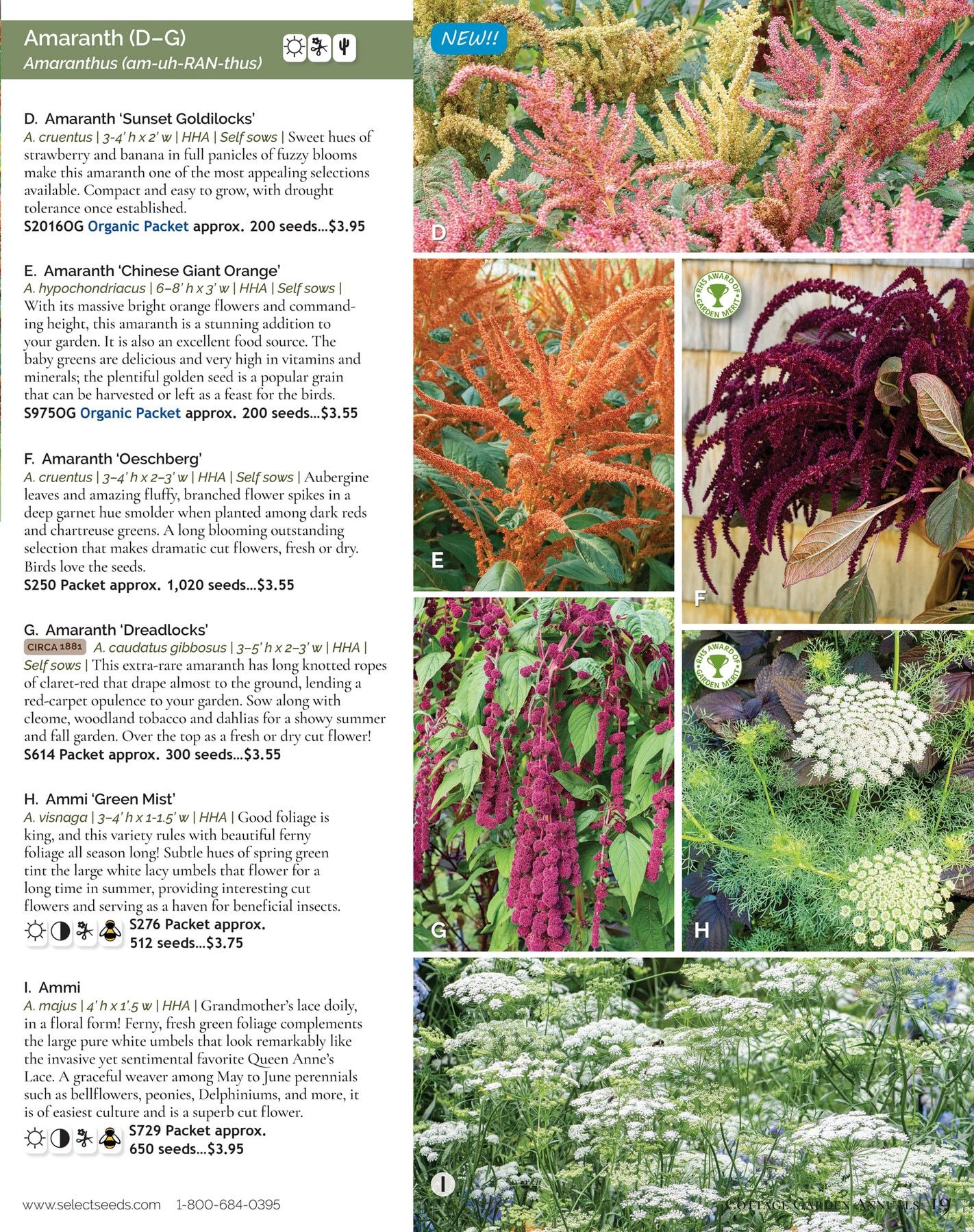 Select Seeds Annual Catalog Weekly Ad January 1 - December 31, 2026