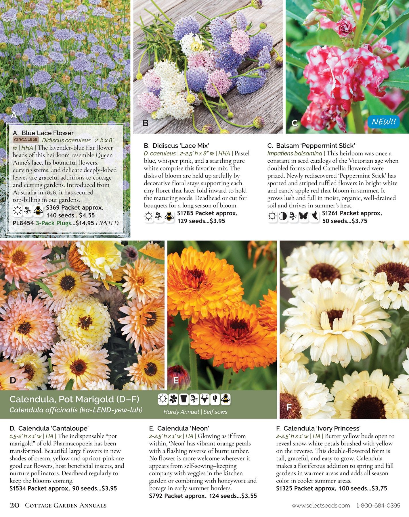 Select Seeds Annual Catalog Weekly Ad January 1 - December 31, 2026
