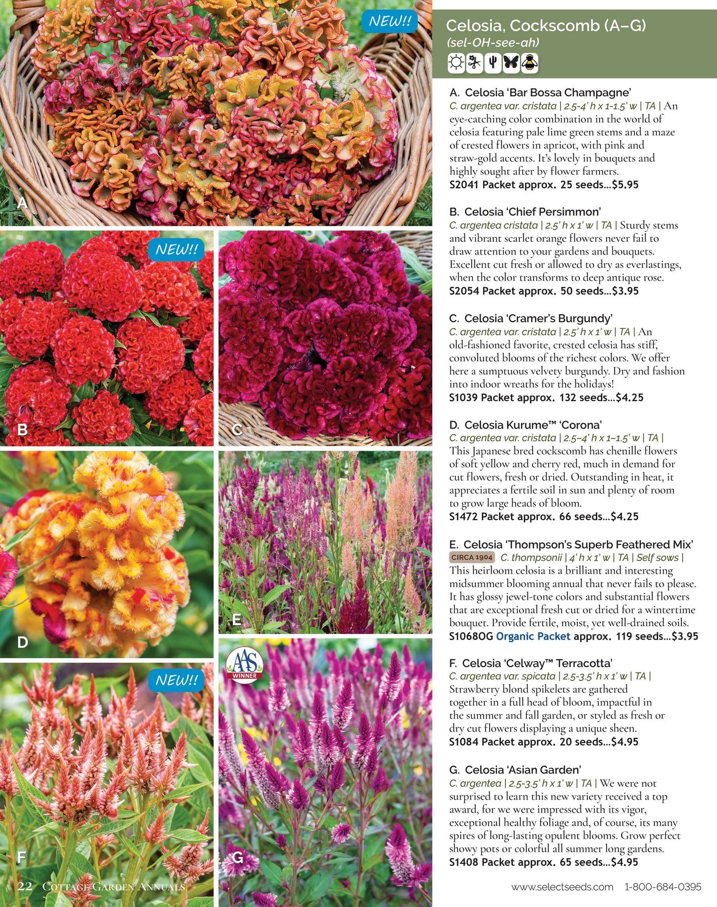 Select Seeds Annual Catalog Weekly Ad January 1 - December 31, 2026