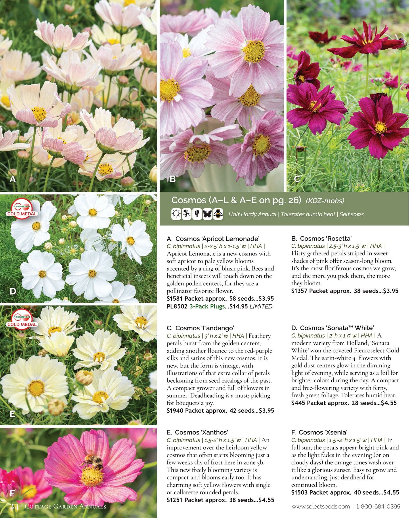 Select Seeds Annual Catalog Weekly Ad January 1 - December 31, 2026