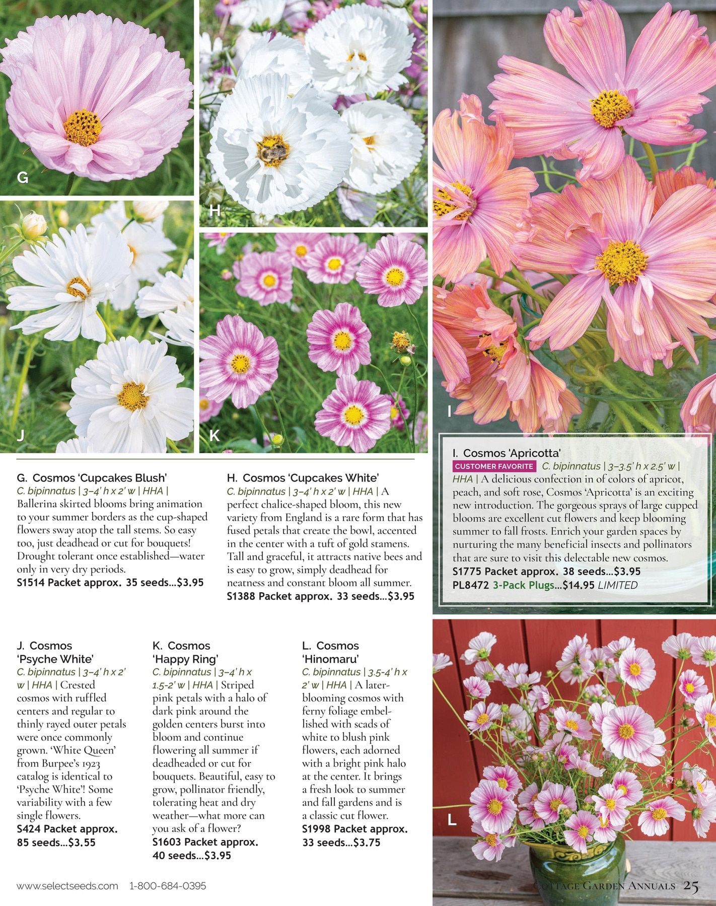 Select Seeds Annual Catalog Weekly Ad January 1 - December 31, 2026