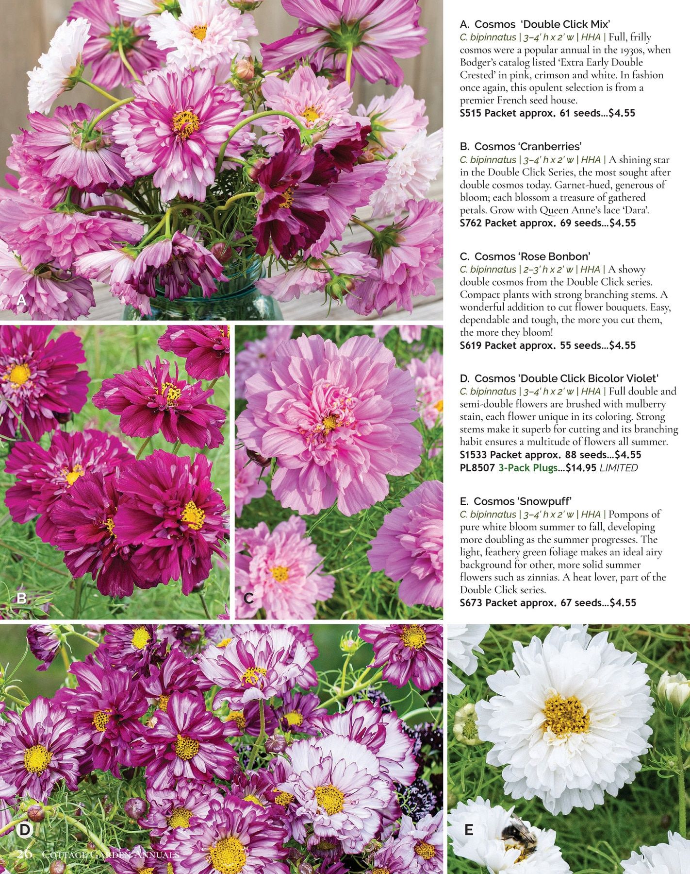 Select Seeds Annual Catalog Weekly Ad January 1 - December 31, 2026