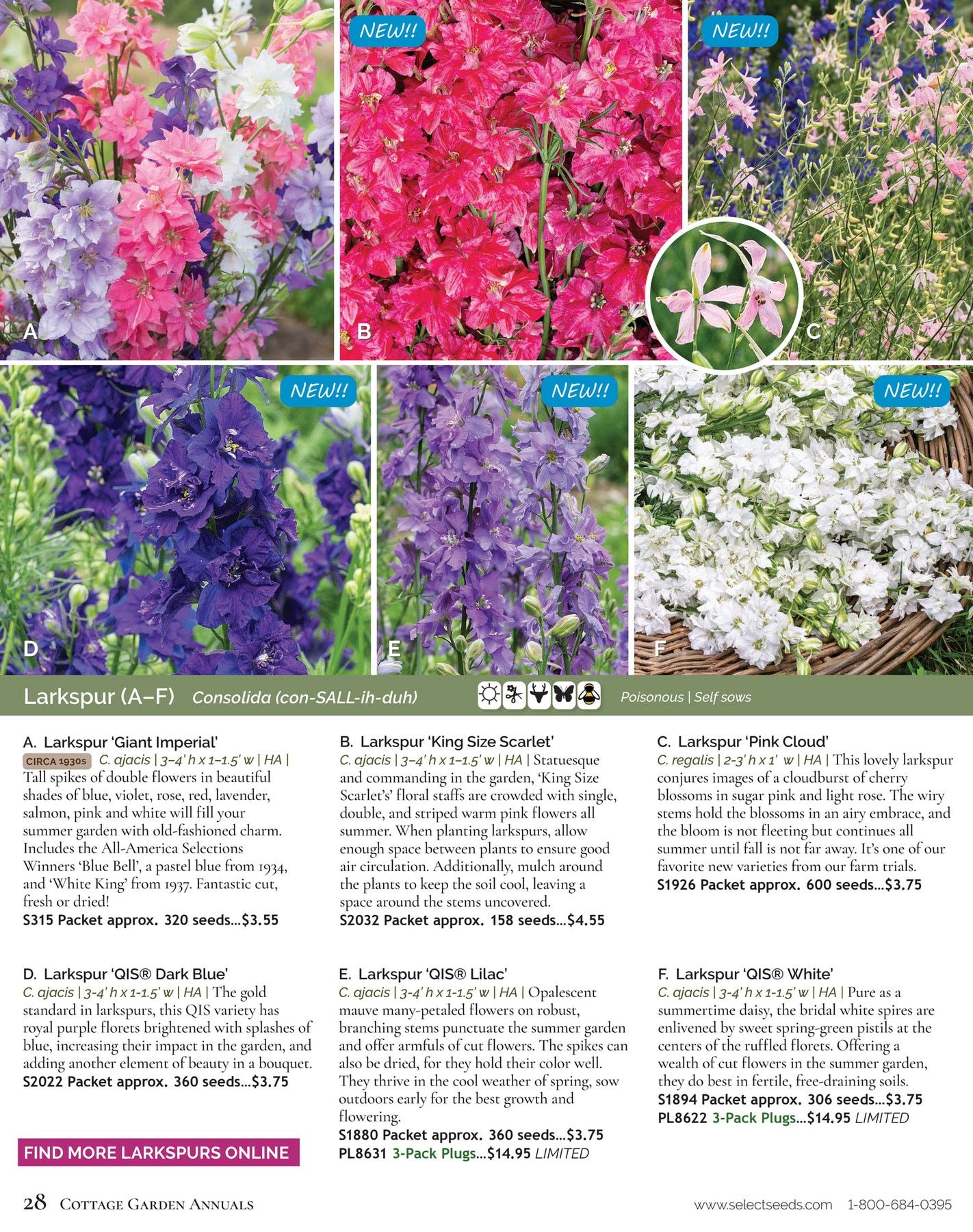 Select Seeds Annual Catalog Weekly Ad January 1 - December 31, 2026