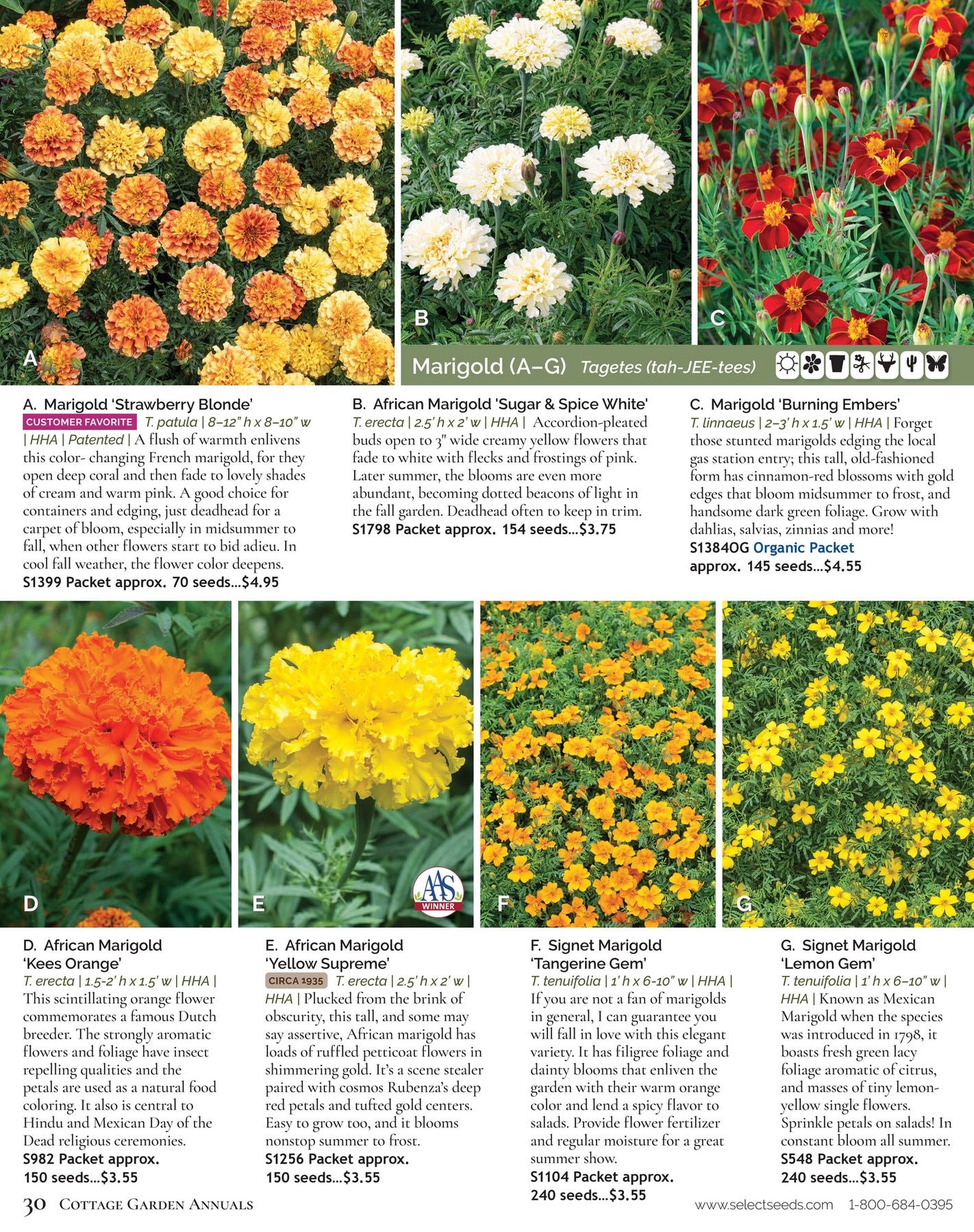 Select Seeds Annual Catalog Weekly Ad January 1 - December 31, 2026