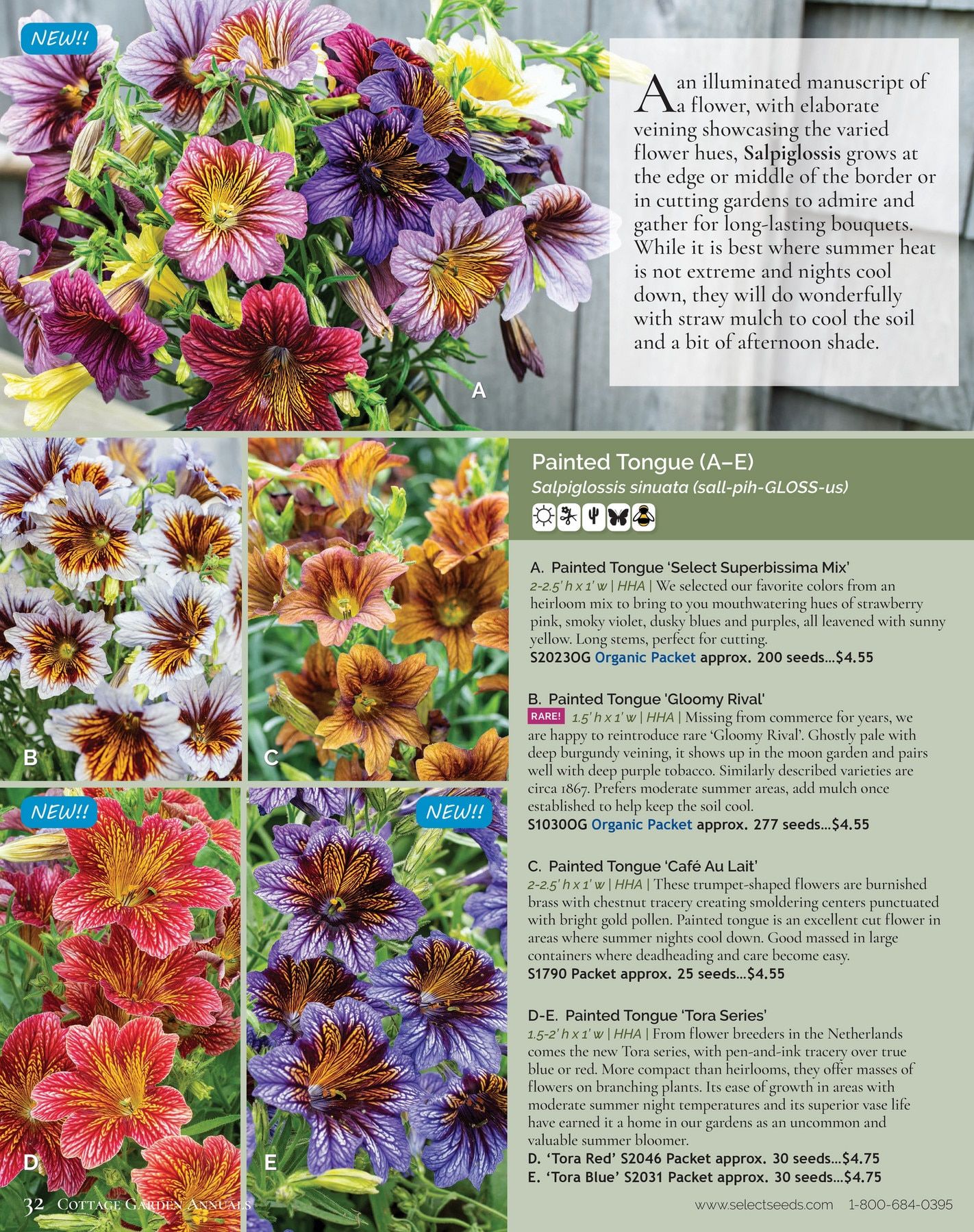 Select Seeds Annual Catalog Weekly Ad January 1 - December 31, 2026