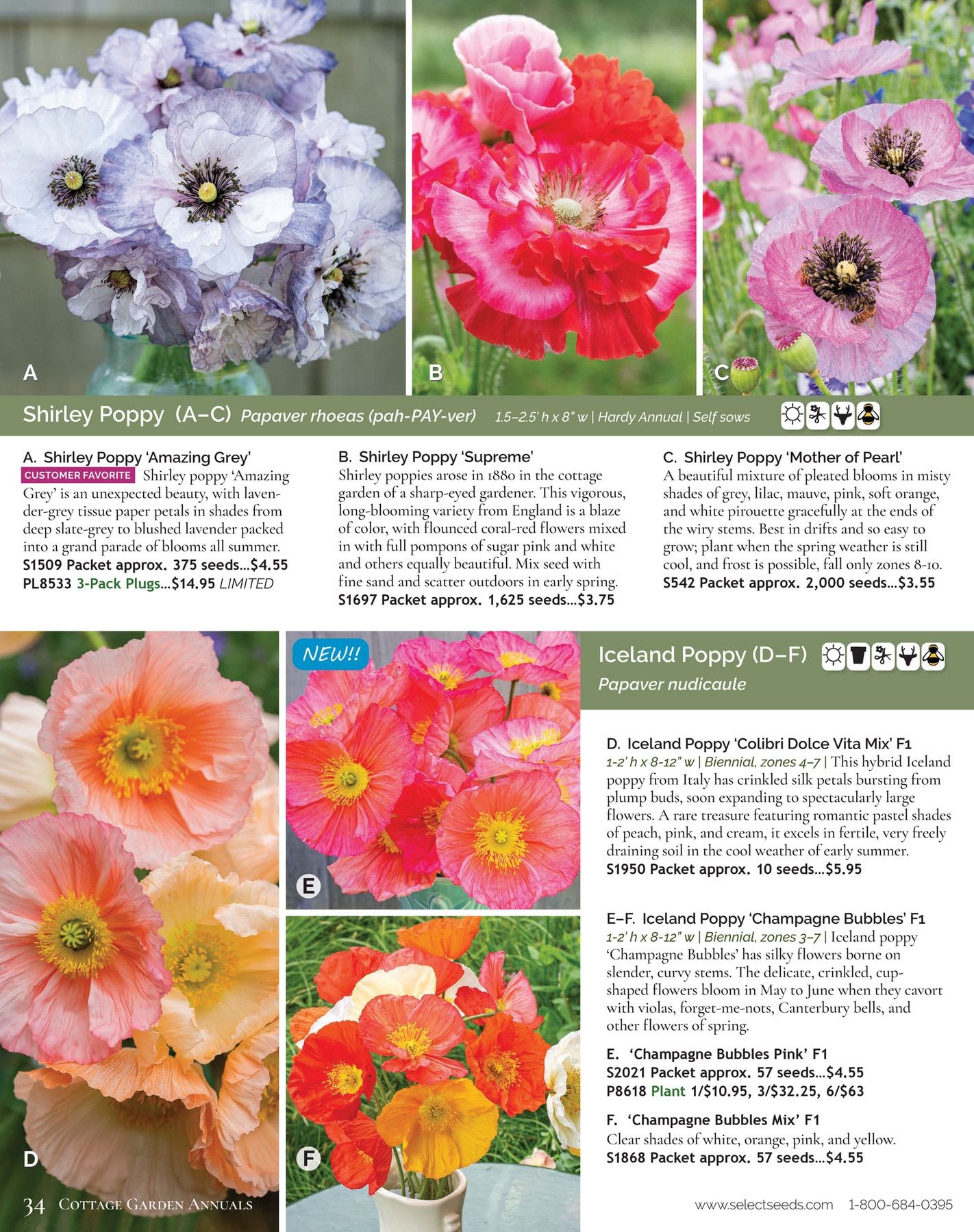 Select Seeds Annual Catalog Weekly Ad January 1 - December 31, 2026