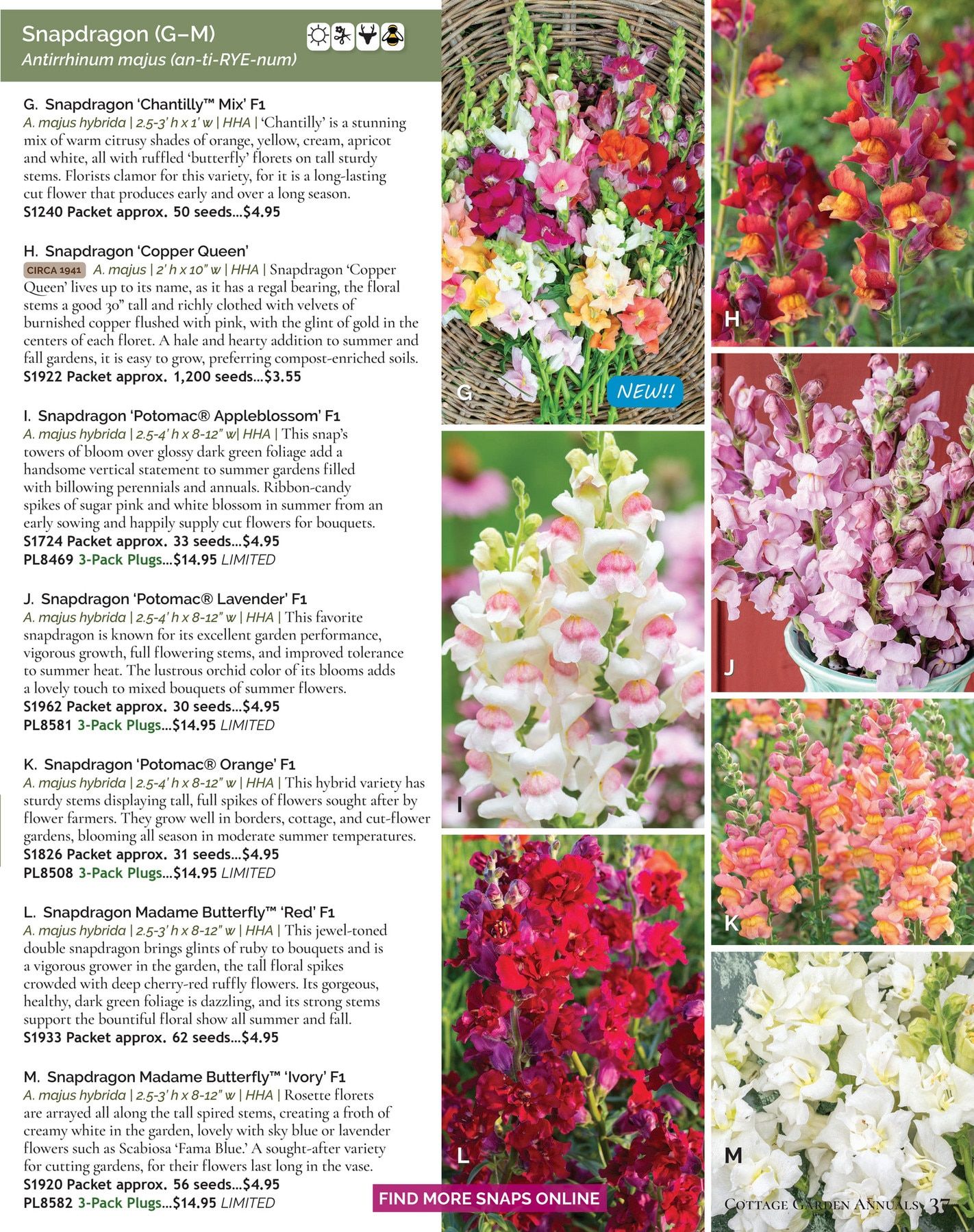 Select Seeds Annual Catalog Weekly Ad January 1 - December 31, 2026