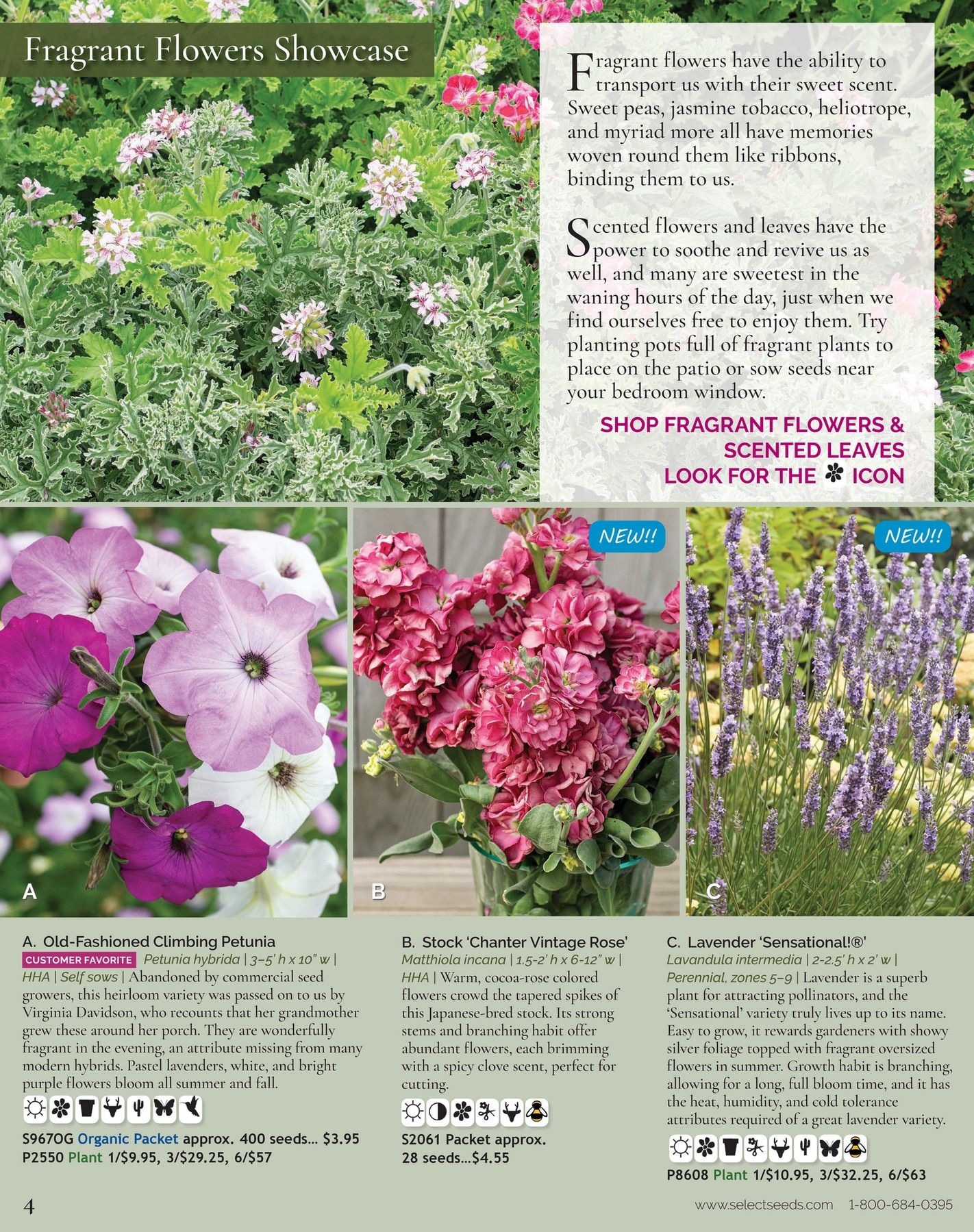 Select Seeds Annual Catalog Weekly Ad January 1 - December 31, 2026