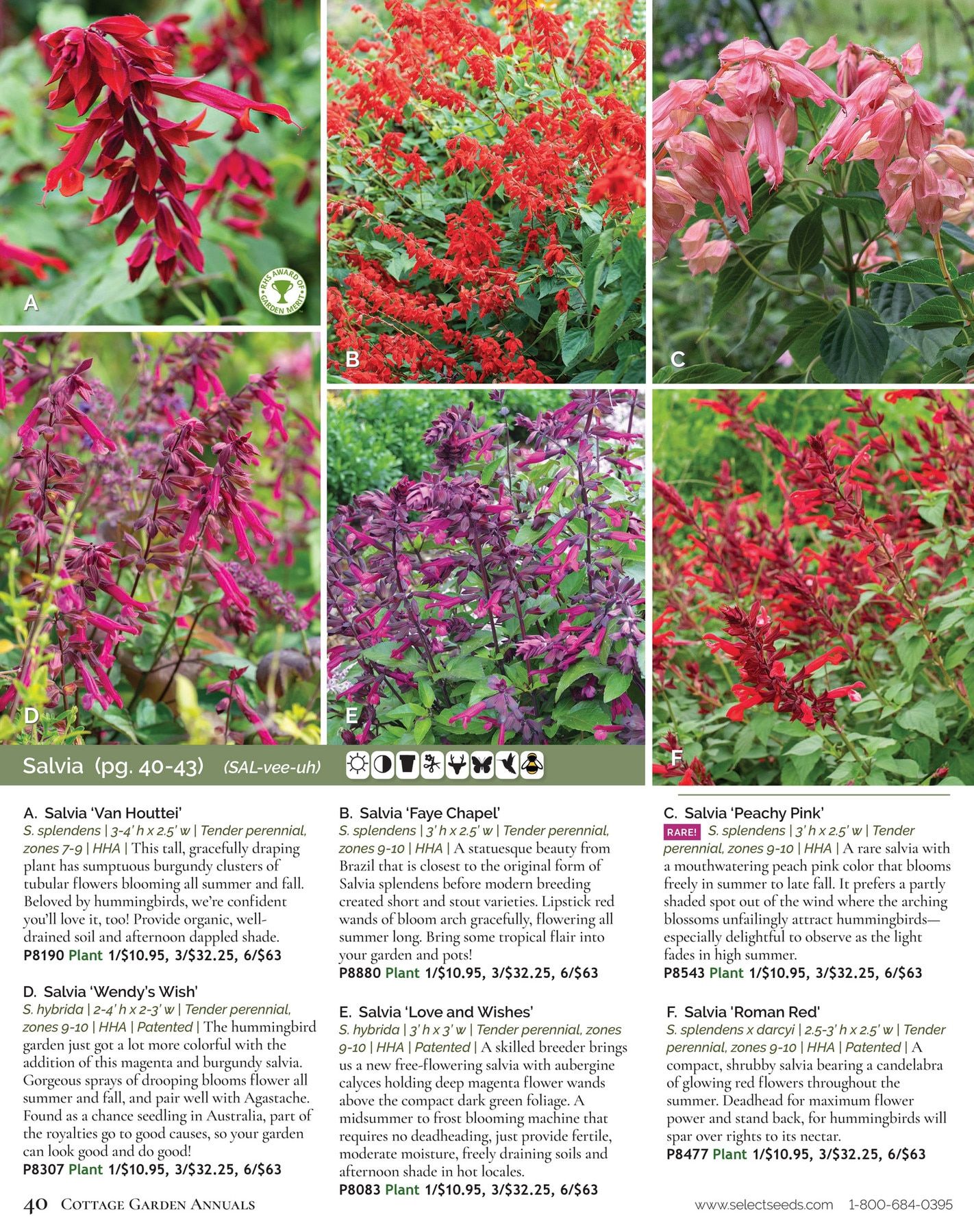 Select Seeds Annual Catalog Weekly Ad January 1 - December 31, 2026