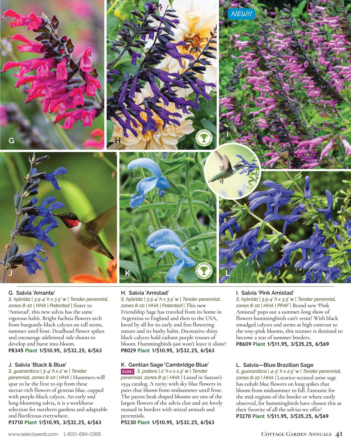 Select Seeds Annual Catalog Weekly Ad January 1 - December 31, 2026