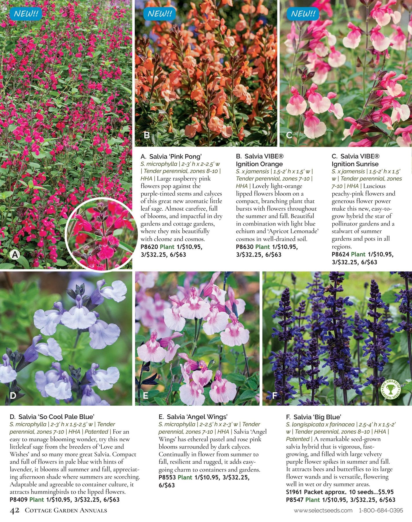 Select Seeds Annual Catalog Weekly Ad January 1 - December 31, 2026