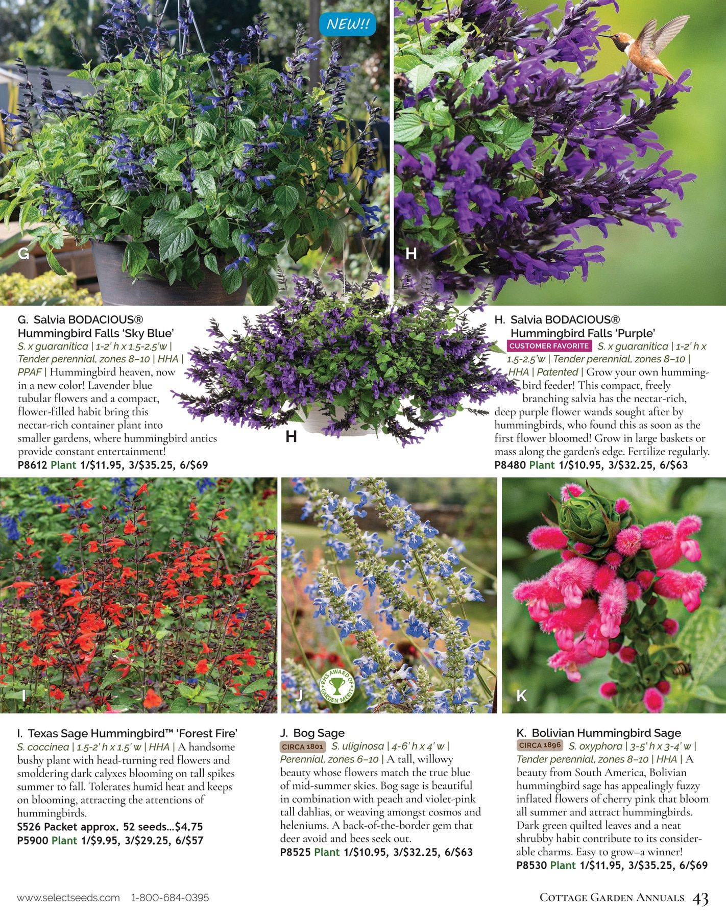 Select Seeds Annual Catalog Weekly Ad January 1 - December 31, 2026