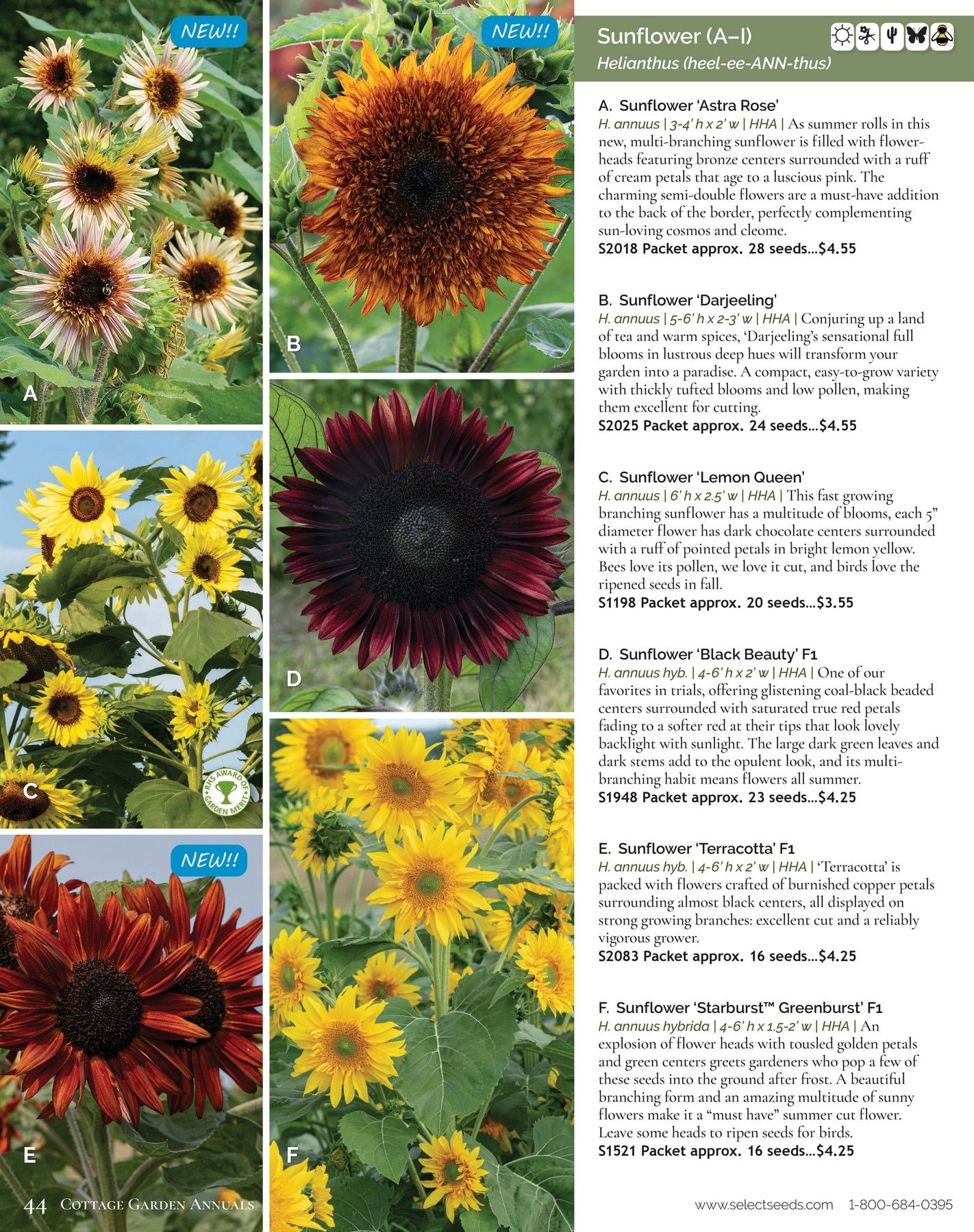 Select Seeds Annual Catalog Weekly Ad January 1 - December 31, 2026