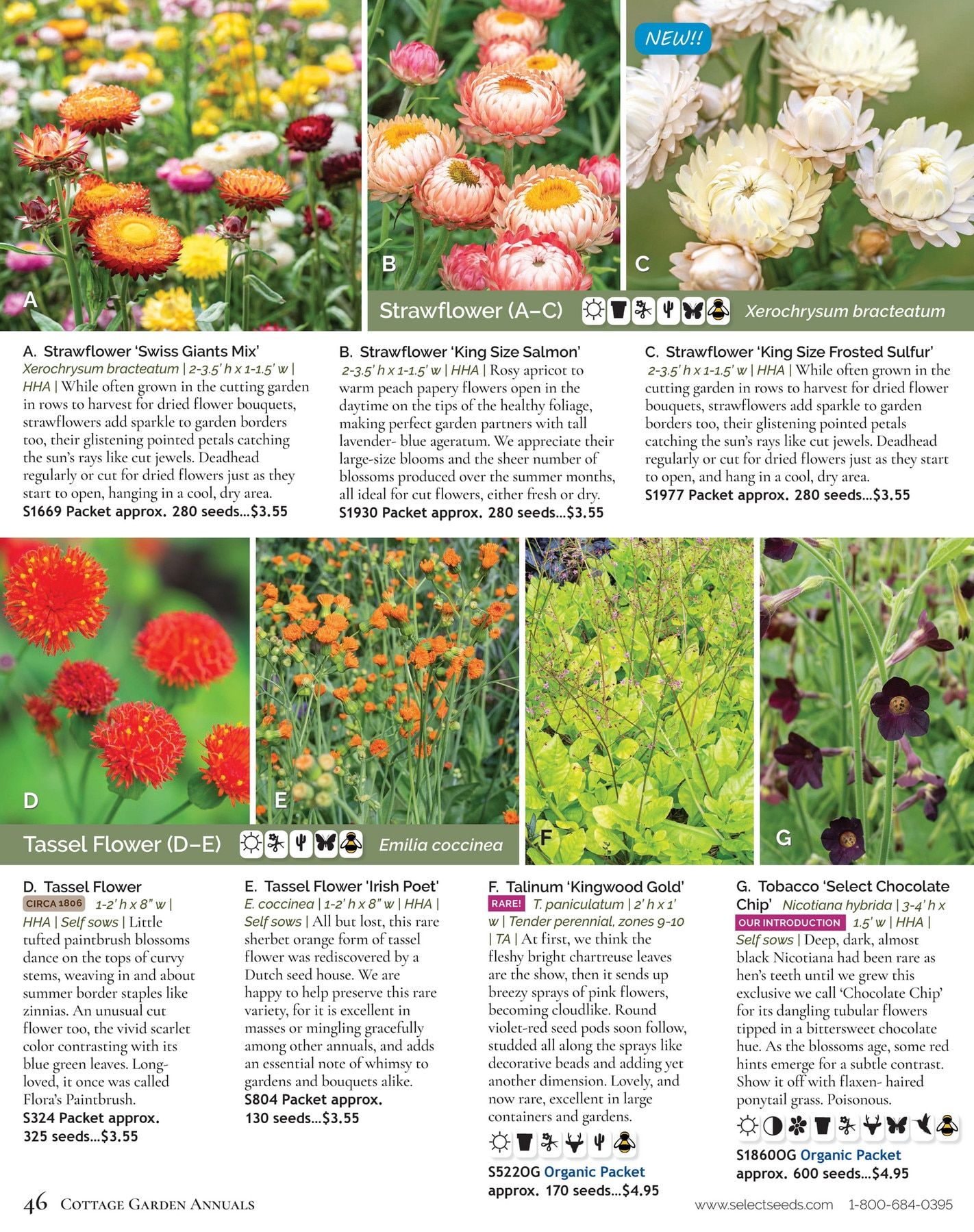 Select Seeds Annual Catalog Weekly Ad January 1 - December 31, 2026