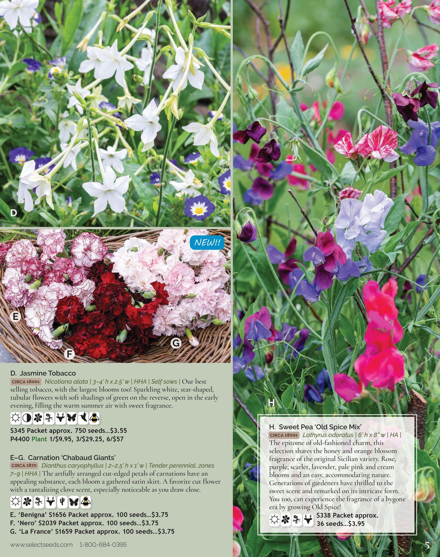 Select Seeds Annual Catalog Weekly Ad January 1 - December 31, 2026