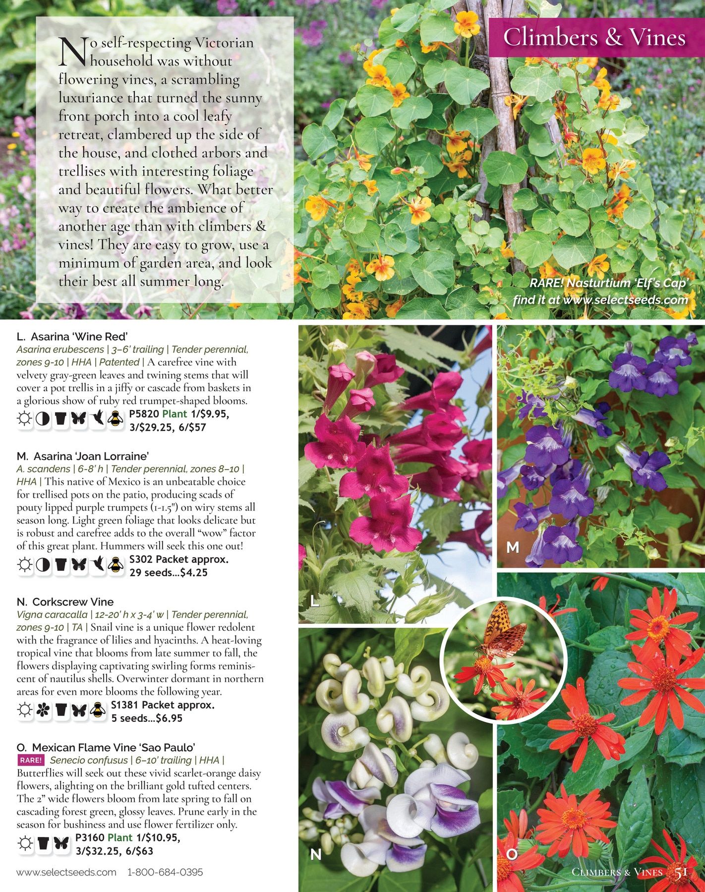 Select Seeds Annual Catalog Weekly Ad January 1 - December 31, 2026