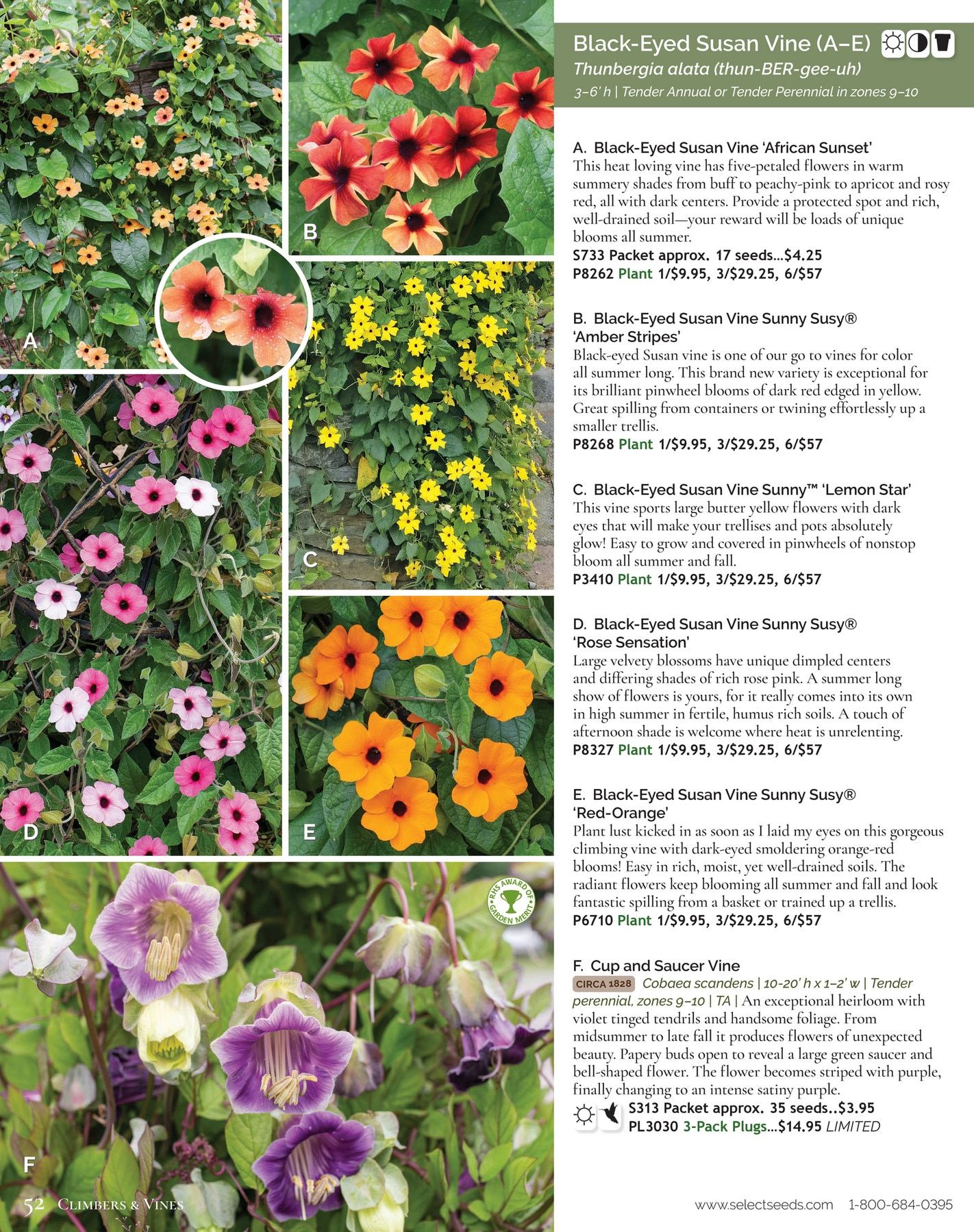 Select Seeds Annual Catalog Weekly Ad January 1 - December 31, 2026